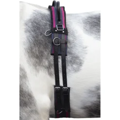 HKM Canvas Lunge Roller With Handle