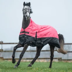 HKM 600D Fleece Lined Highneck Rug -Norwich-