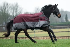 HKM 600D 300g High Neck Turnout Rug -Yukon-