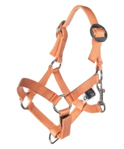 HKM Head Collar and Lead Rope -Hobby Horsing Basic-