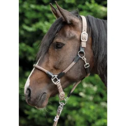 HKM Head Collar -Carlotta-