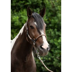 HKM Head Collar -Carlotta-