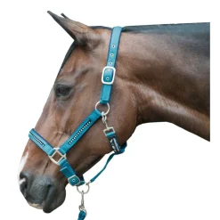 HKM Head Collar & Lead Rope Set -Crystal- Soft Padded