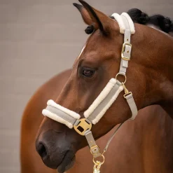 HKM Head Collar -Limone Elegant-
