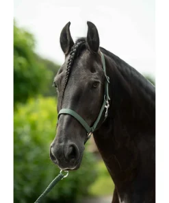 HKM Head Collar -Stars Economy-