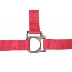 HKM Head Collar -Stars Economy-