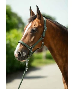 HKM Head Collar -Stars- with Soft Padding