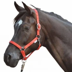 HKM Head Collar -Stars- with Soft Padding