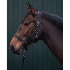 HKM Innsbruck Head Collar