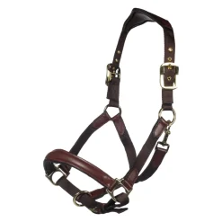 HKM Leather & Nylon Head Collar -Luna-