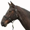HKM Set of 3 Nose Nets 2797