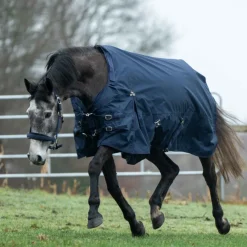 HKM Turnout Rug -Kombi 2- With Clip in System