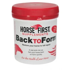 Horse First Back To Form