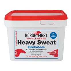 Horse First Heavy Sweat