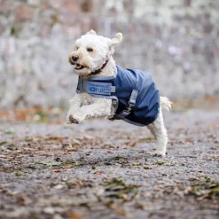 Horseware Ireland Ionic 50g Therapy Dog Coat