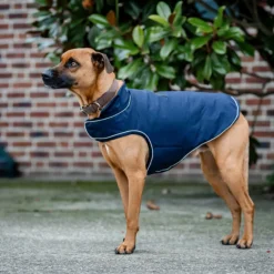Horseware Ireland Signature 100g Dog Rain Coat