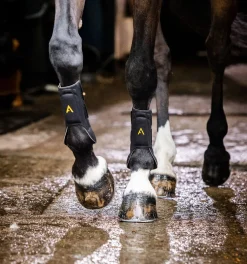 Horseware Ireland Adagio Boot