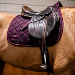 Horseware Ireland Alessandro Albanese Performance Jump Pad