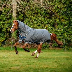Horseware Ireland Amigo Bravo 12 Plus 400g Heavy Turnout Rug