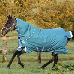 Horseware Ireland Amigo Bravo 12 Plus 400g Heavy Turnout Rug