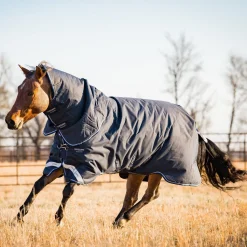 Horseware Ireland Amigo Bravo 12 Plus 400g Heavy Turnout Rug
