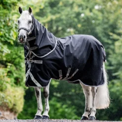 Horseware Ireland Amigo Bravo 12 Plus 400g Heavy Turnout Rug