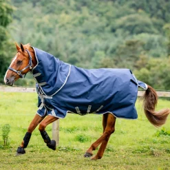 Horseware Ireland Amigo Bravo 12 Plus 400g Heavy Turnout Rug