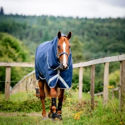Horseware Ireland Amigo Bravo 12 Plus 400g Heavy Turnout Rug