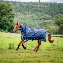 Horseware Ireland Amigo Bravo 12 Plus 0g Lite Turnout Rug