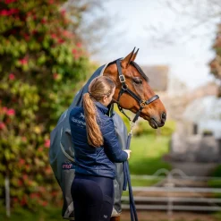 Horseware Ireland Amigo Bravo 12 Plus 0g Lite Turnout Rug