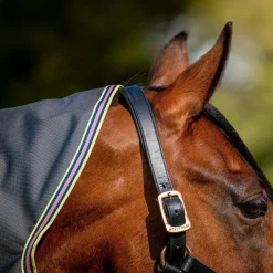 Horseware Ireland Amigo Bravo 12 Plus 0g Lite Turnout Rug