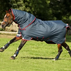 Horseware Ireland Amigo Bravo 12 Plus 250g Medium Turnout Rug