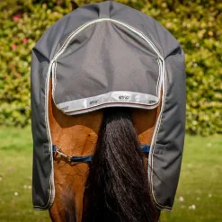 Horseware Ireland Amigo Bravo 12 Plus 250g Medium Turnout Rug