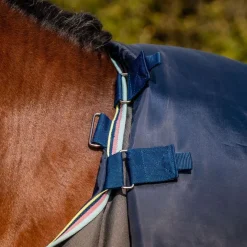 Horseware Ireland Amigo Bravo 12 Plus 250g Medium Turnout Rug