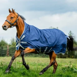 Horseware Ireland Amigo Bravo 12 Wug 400g Heavy Turnout Rug