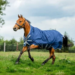 Horseware Ireland Amigo Bravo 12 Wug 0g Lite Turnout Rug