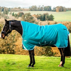 Horseware Ireland Amigo Bravo 12 Wug 0g Lite Turnout Rug