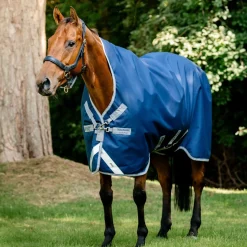 Horseware Ireland Amigo Bravo 12 Wug 250g Medium Turnout Rug