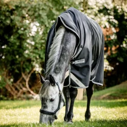 Horseware Ireland Amigo Bravo 12 Wug 250g Medium Turnout Rug
