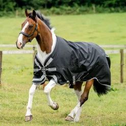 Horseware Ireland Amigo Bravo 12 XL 0g Lite Turnout Rug