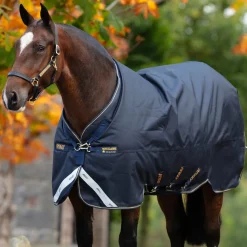 Horseware Ireland Amigo Bravo 12 XL 250g Medium Turnout Rug
