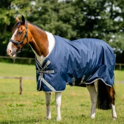 Horseware Ireland Amigo Bravo 12 XL 250g Medium Turnout Rug