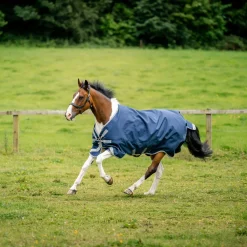 Horseware Ireland Amigo Bravo 12 XL 250g Medium Turnout Rug
