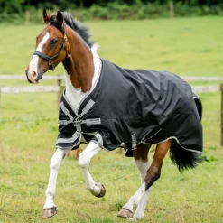 Horseware Ireland Amigo Bravo 12 XL 250g Medium Turnout Rug