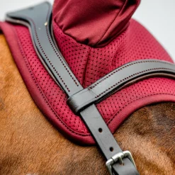 Horseware Ireland Amigo Ear Net