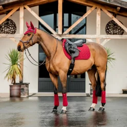 Horseware Ireland Amigo Ear Net