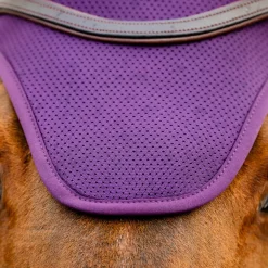 Horseware Ireland Amigo Ear Net