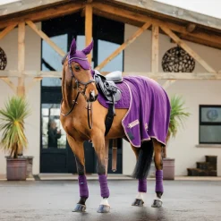 Horseware Ireland Amigo Ear Net