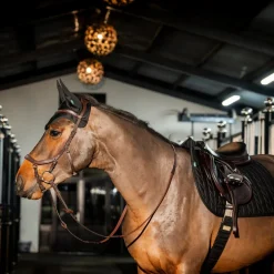 Horseware Ireland Amigo Ear Net
