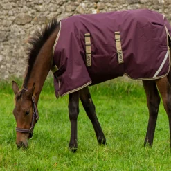 Horseware Ireland Amigo Foal Rug 200g Ripstop